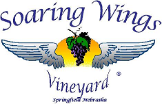 Soaring Wings Vineyard